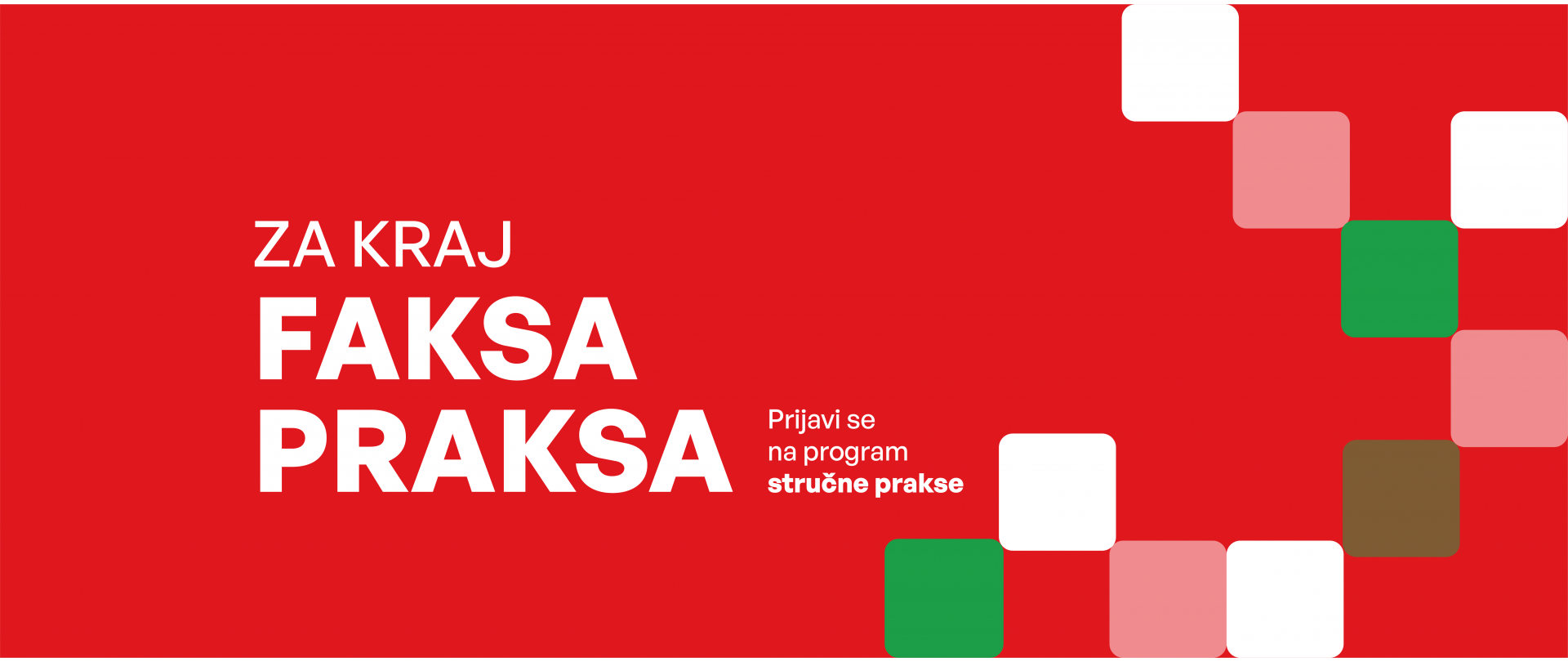 Stručna praksa
